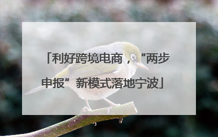 利好跨境电商，“两步申报”新模式落地宁波